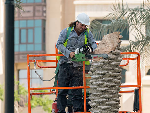 Tree Trimming