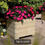Thumbnail: Marberry Square Timber Planter - 390 x 500 x 500mm