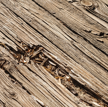 old rotten timber decking.png