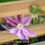 Thumbnail: Living Screen Planter - 900 x 390 x 1800mm