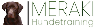 logo ganz klein zusammengeschnitten.png