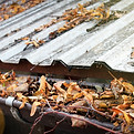 AdobeStock_332317976.jpeg