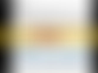 Ink blot of party list vote will not count for Robredo