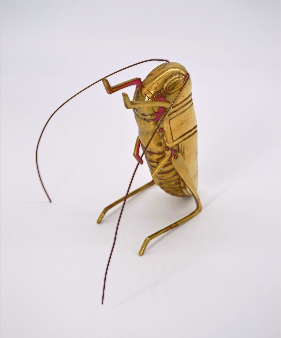 Thumbnail: Large Lucky Brass Cricket