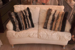 Coussins 50*50