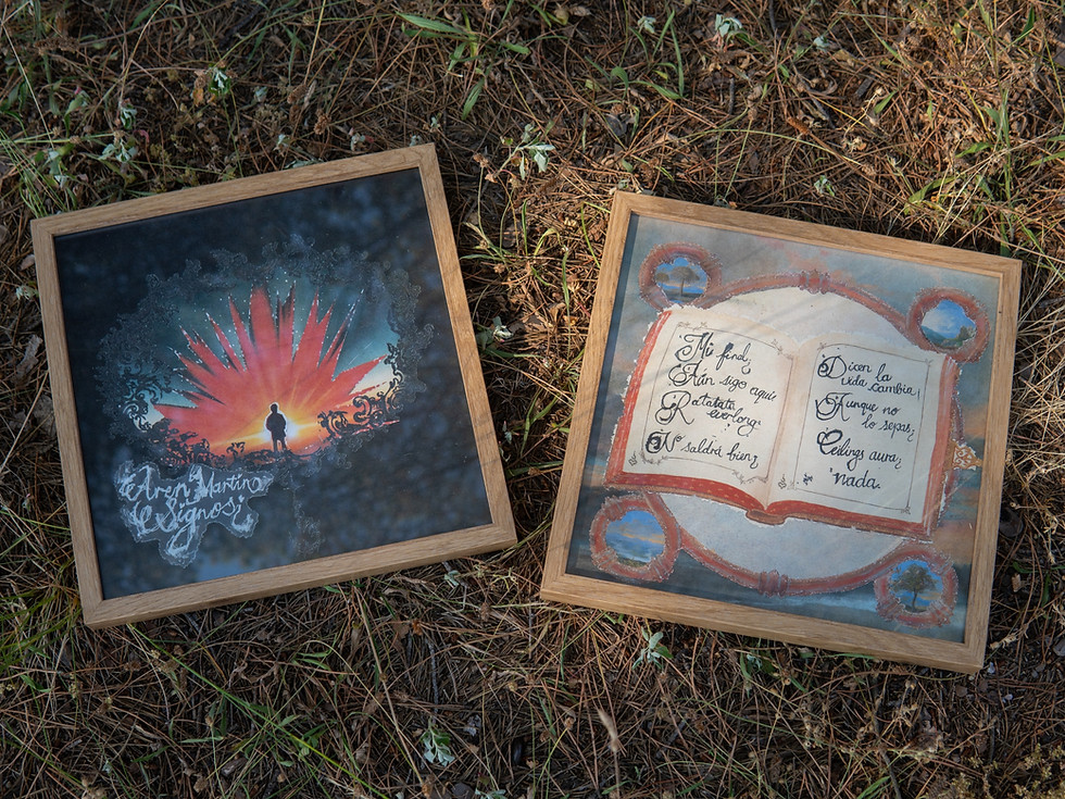 Miniatura: signos ¿ Artwork (Posters 3+1 gratis)