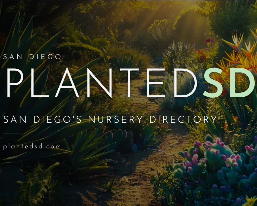 PlantedSD — A New Hub for San Diego Plant Lovers