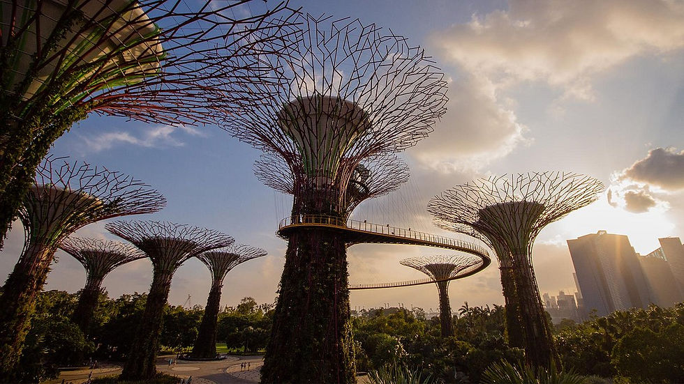 Supertree Grove