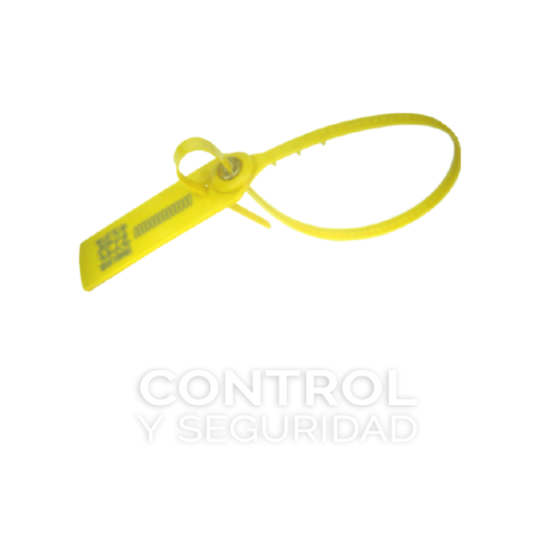Control y Seguridad