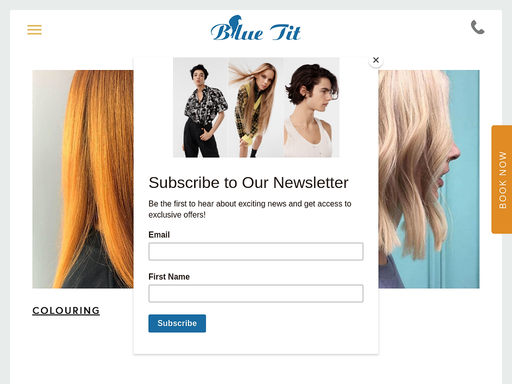 hair salon website