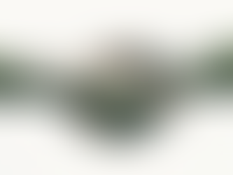 Strategic Social Engagement (SSE): Redefining Corporate Impact