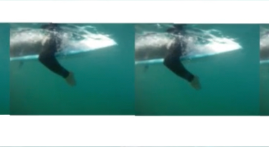 a person paddling on surfboard