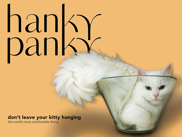 fat cat fainal 2.jpg