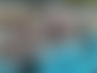 ここ最近の【ぷらす】の様子