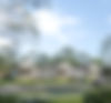 Street view - 03 copy.jpg