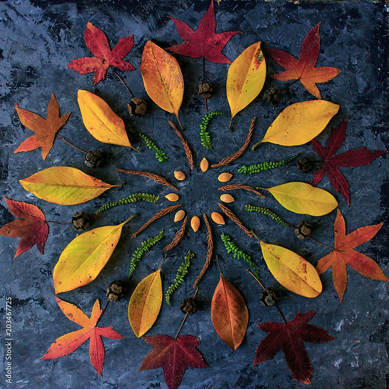 Natur-Mandalas im Herbst