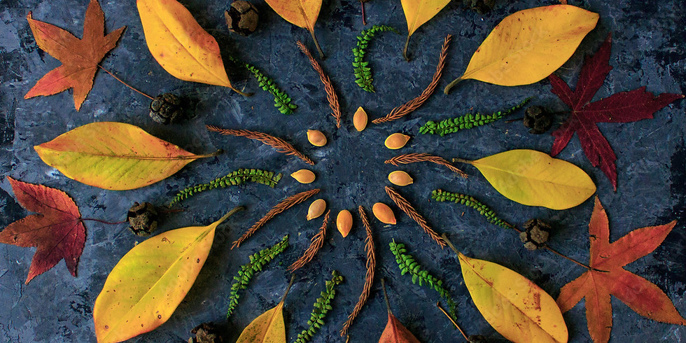Naturmandalas