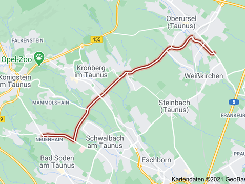 Bäume an der L3015 (Waldsiedlung) müssen gefällt werden