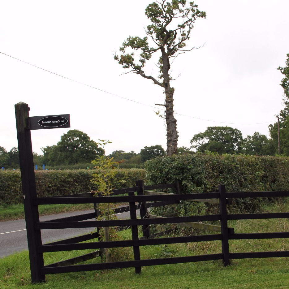 IMG_9869_edited_edited