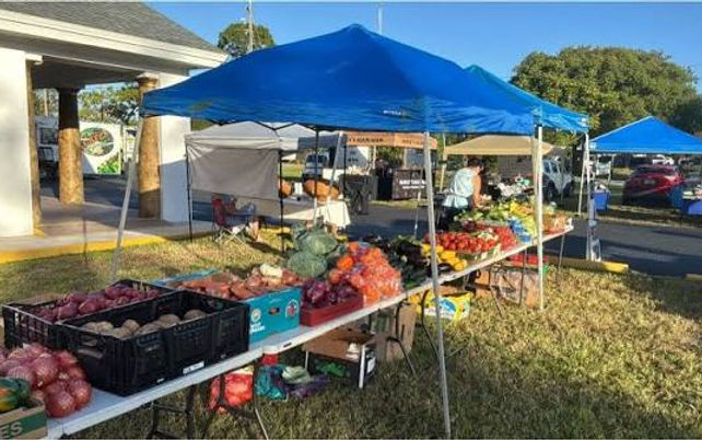 images (1) (13).jpeg