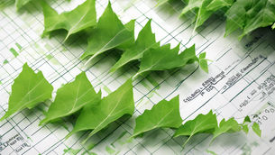 The Future of Sustainable Investing: Global Trends and Opportunities