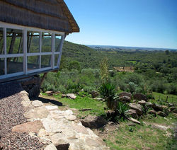 ventorrillo