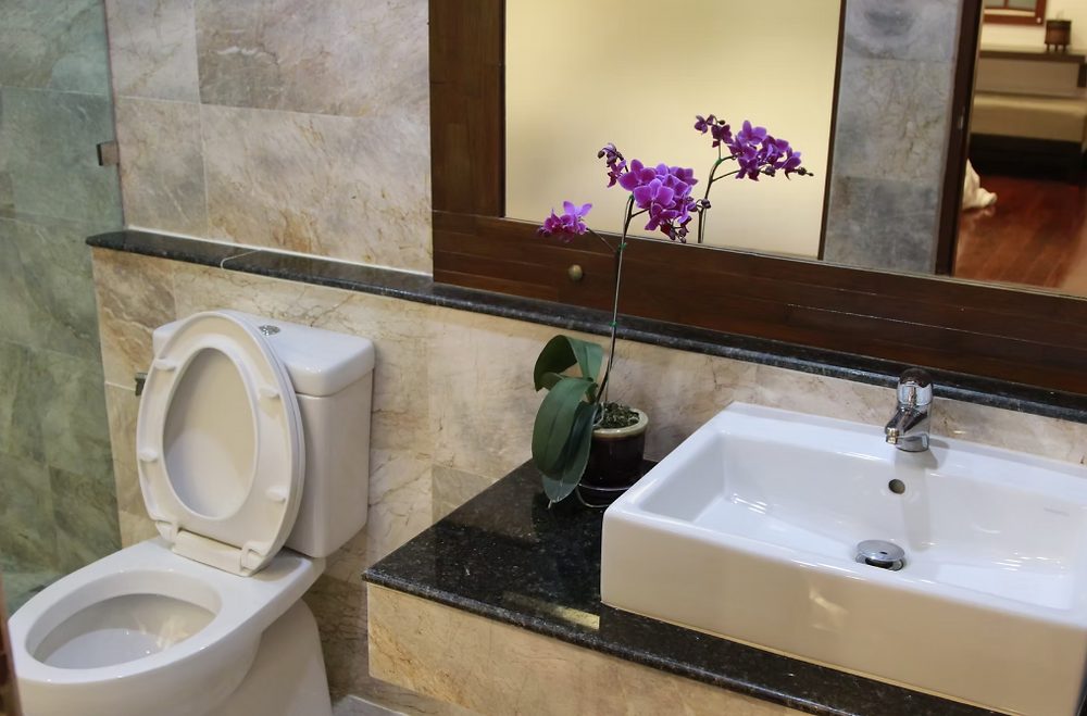 Modern bathroom with toilet, sink, and orchid