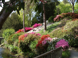 Bodnant Gardens!