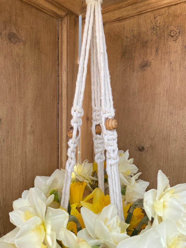 Thumbnail: Macrame Plant Hanger