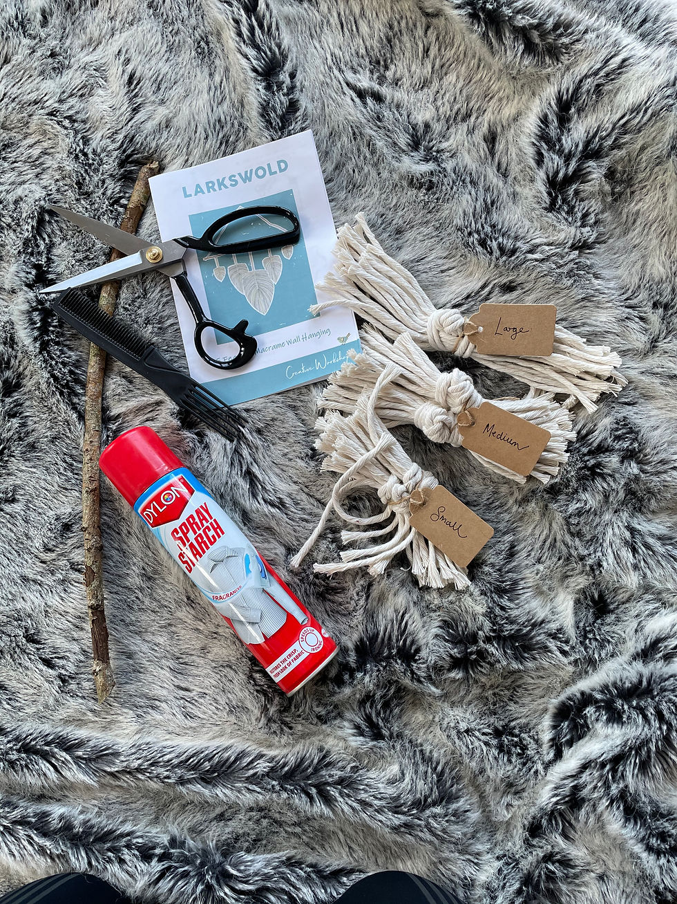 Thumbnail: Macramé 5 Feather Wall Hanging Kit