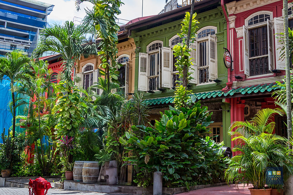 Colorful row of shophouses in lush greenery, with green, beige, and red facades. Open windows and plants create a vibrant, lively scene.