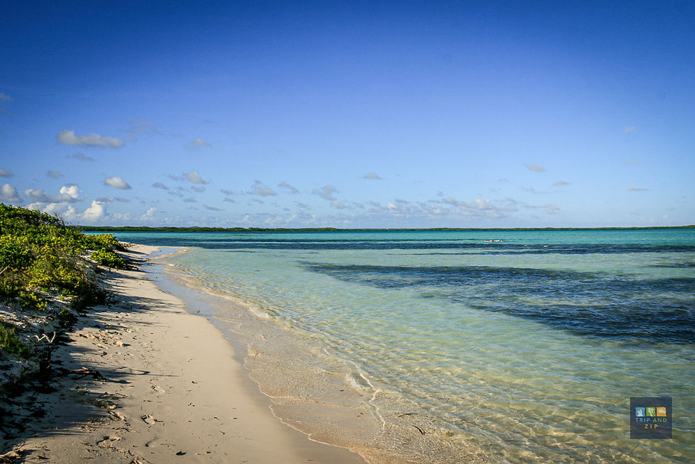 Clear blue sky over a tranquil beach with white sand and azure water. Green foliage lines the shoreline. Calm, serene mood.