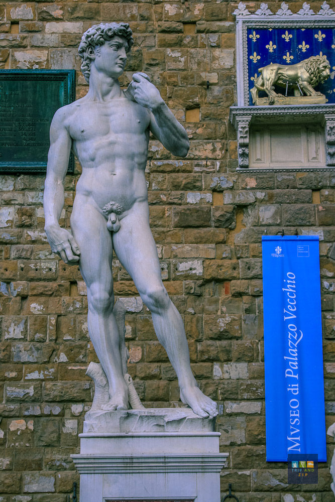 Marble statue of David against a brick wall, adjacent to a blue "Museo di Palazzo Vecchio" banner.