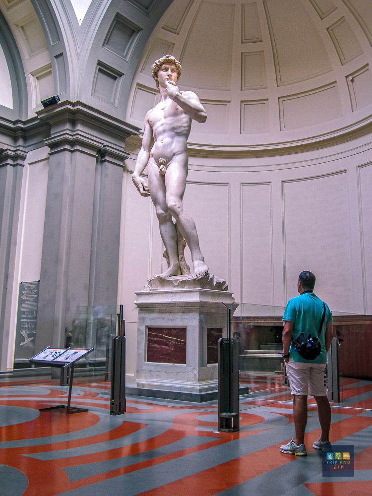 Man in turquoise shirt admires Michelangelo's David in a museum with a patterned floor and domed ceiling. Information plaque nearby.