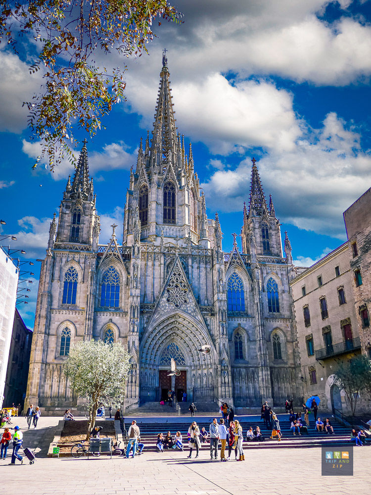 Gothic cathedral under bright blue sky with clouds. Crowds of people sit and walk in the plaza. Olive tree and ornate facade visible.