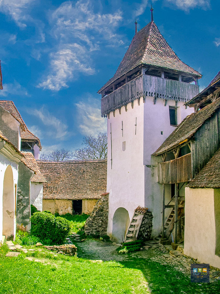 Medieval courtyard with a tall tower featuring wooden accents. Stone path and lush grass under a clear blue sky create a serene atmosphere.