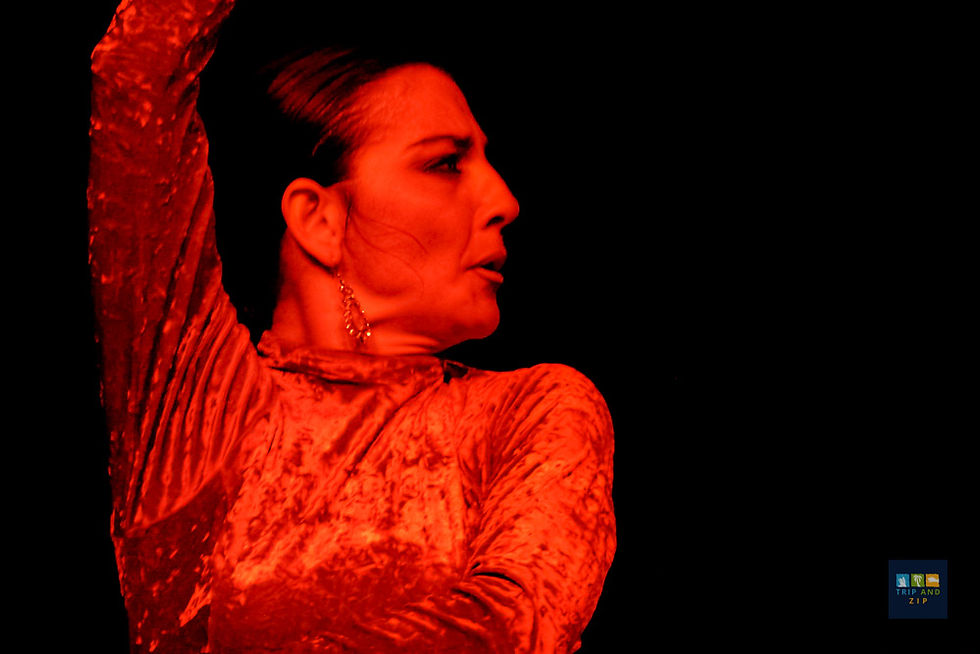 A dancer in a red, textured dress performs against a dark background, showing intensity and emotion. Small text in corner reads "TRIP AND ZIP".