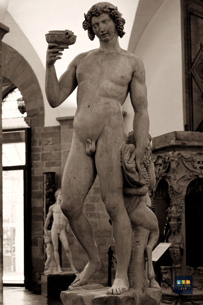 Marble statue of a man holding a cup, draped with animal skin. Sepia tones, indoors, with ornate architecture and another statue behind.