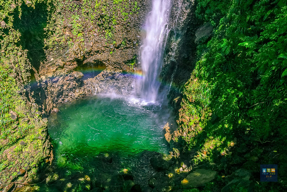 Waterfall cascading into a lush, green pool surrounded by mossy rocks. A small rainbow appears in the mist. Text: "Trip and Zip."