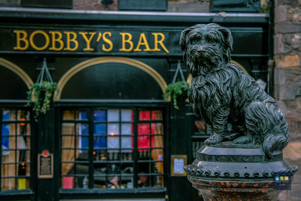 Statue of a dog in front of Bobby's Bar. The background features a window with colorful reflections. The mood is nostalgic and serene.