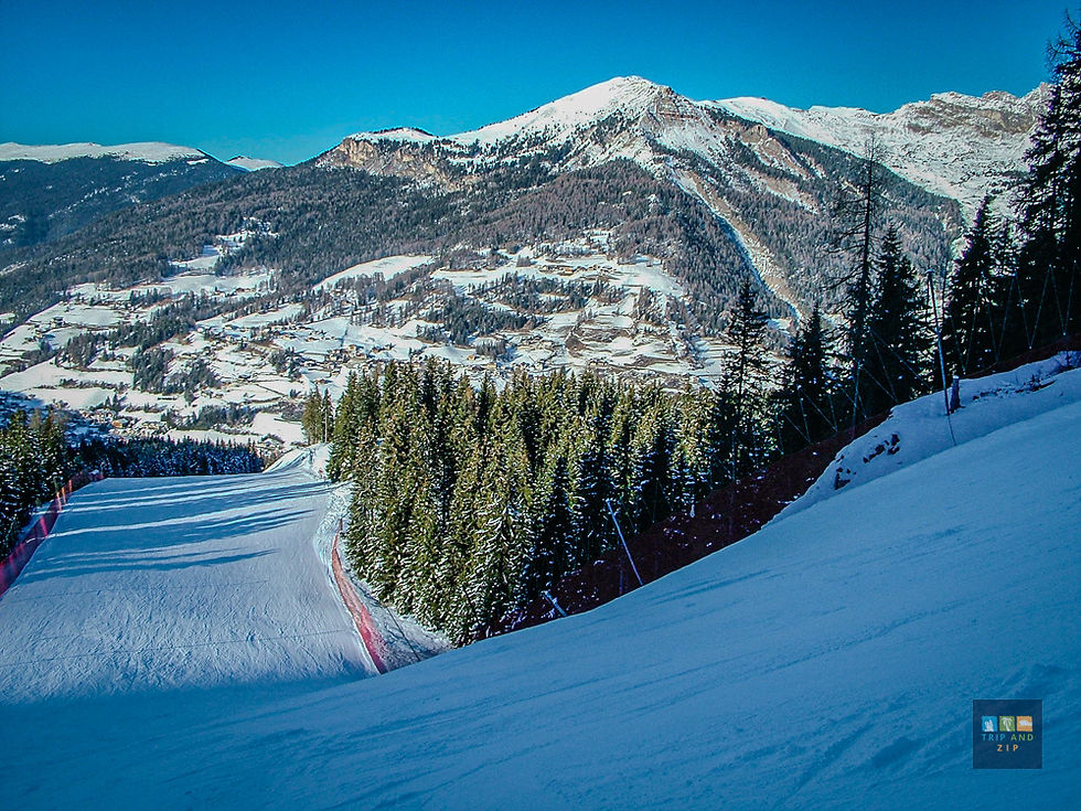 Snowy ski slope lined with evergreen trees, mountain range in background. Clear blue sky creates a serene winter scene. Text: Trip and Zip.