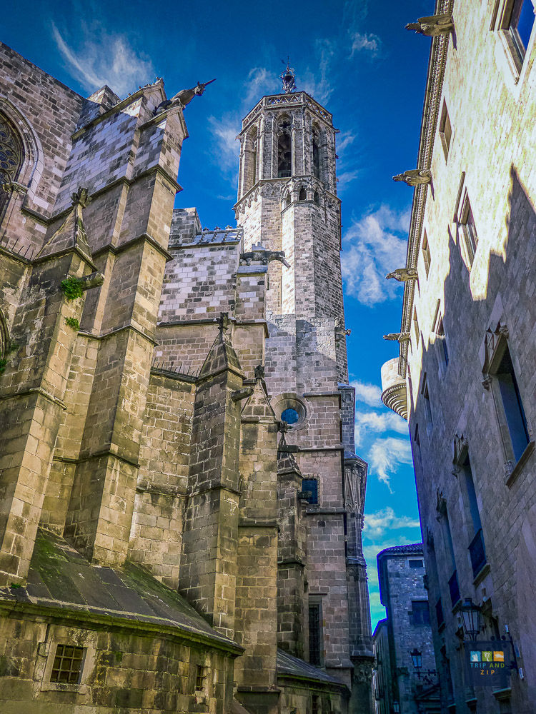 Gothic cathedral with a tall spire against a blue sky, surrounded by stone buildings. Shadows cast on walls; a serene, historic ambiance.