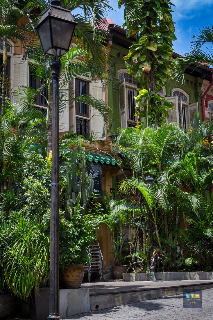 Lush greenery surrounds colorful shopfronts under a blue sky. A vintage streetlamp stands in front. Sign reads "Basil & Cactus Bar."