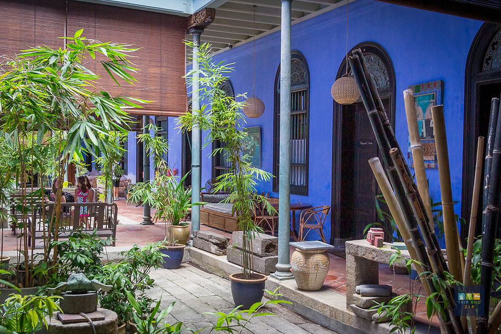 Lush courtyard with bamboo plants, blue walls, wicker lamps, and people sitting on benches. A peaceful, vibrant atmosphere.