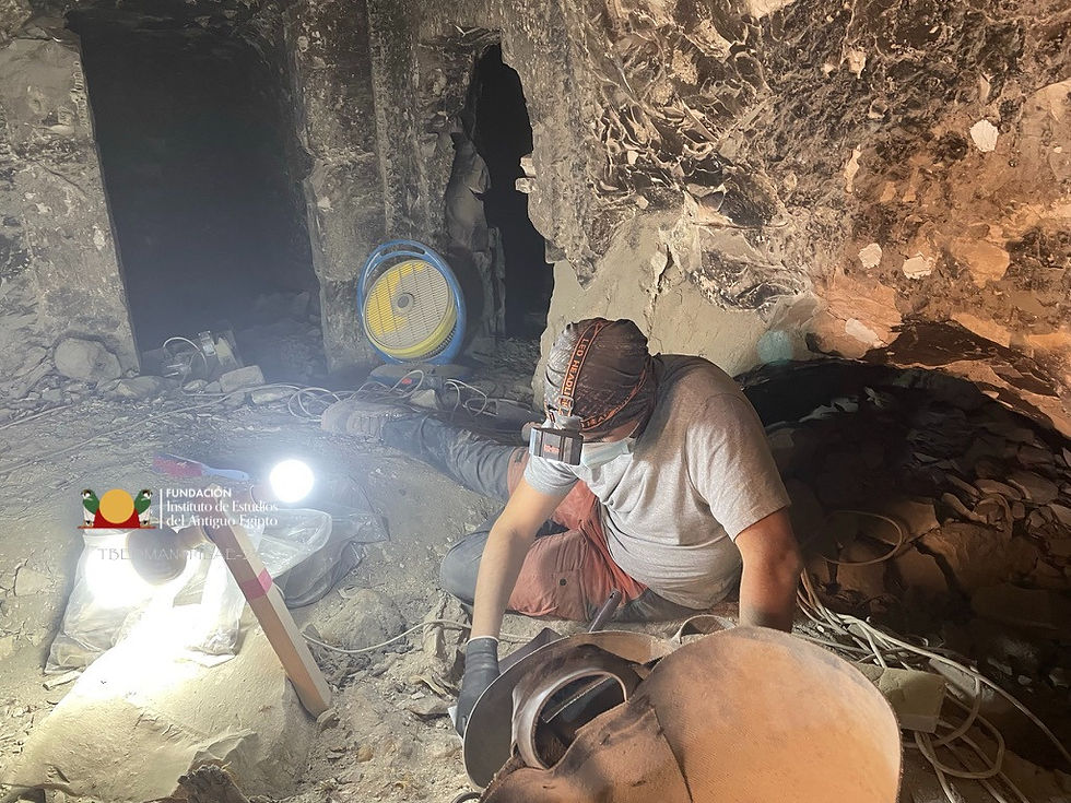 WhatsApp Image 2023-11-25 at 13.03.09