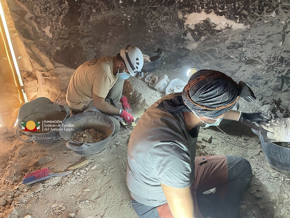 WhatsApp Image 2023-11-25 at 13.03.09 (1)