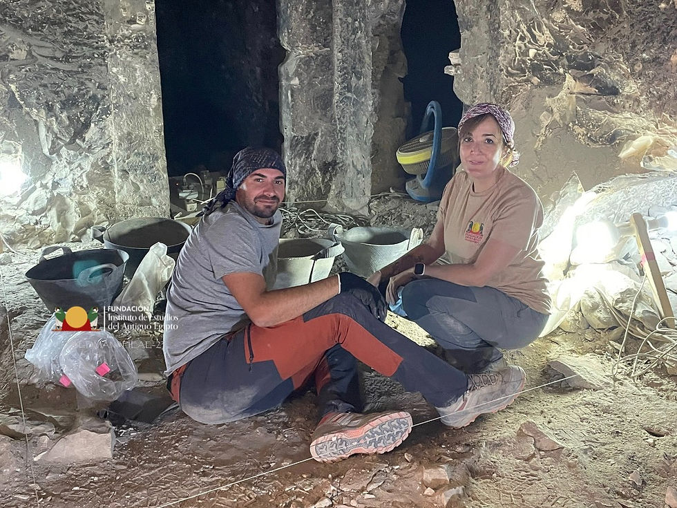 WhatsApp Image 2023-11-28 at 18.03.51