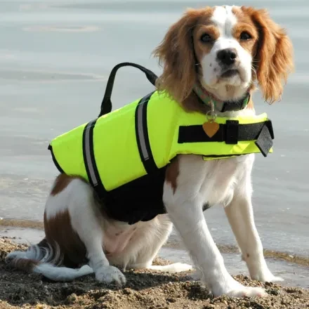 Adjustable Dog Life Jacket
