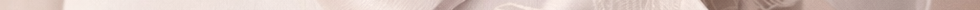 7863BE75-14BE-4A00-B1FB-DE4EADA455D0.png