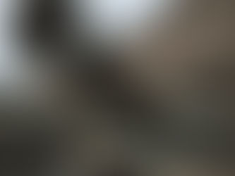 Ambassadors in a foreign land